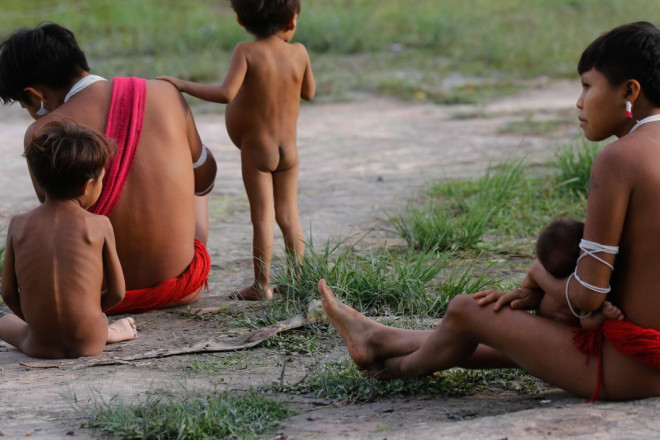 Número de óbitos no território Yanomami teve redução de 21% em 2024