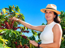 Produtora rural de Pirangi vence etapa estadual do Pr&ecirc;mio Sebrae Mulher de Neg&oacute;cios 2026