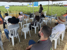 Produ&ccedil;&atilde;o segura ser&aacute; tema de Dia de Campo do Sebrae-SP para produtores rurais em Arealva