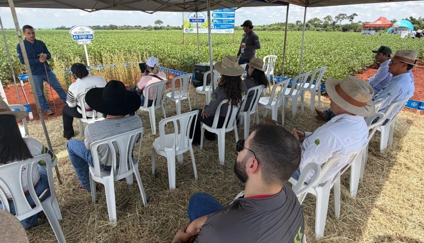 Produção segura será tema de Dia de Campo do Sebrae-SP para produtores rurais em Arealva