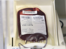 Funda&ccedil;&atilde;o Pr&oacute;-Sangue alerta para baixo estoque e faz apelo a doadores