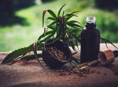 Para associa&ccedil;&otilde;es, normas ainda deixam pontos em aberto sobre cannabis