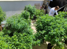 Feira em Fortaleza defende pol&iacute;ticas sobre drogas com justi&ccedil;a social