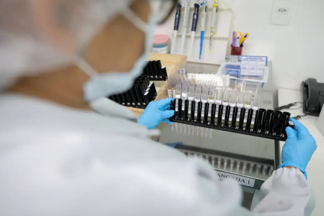 Mal&aacute;ria: Anvisa autoriza teste em humanos de vacina 100% brasileira